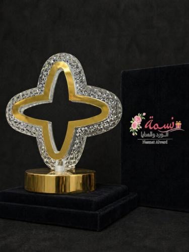 مجموعة 12 ابجورة تخرج بتصميم أنيف