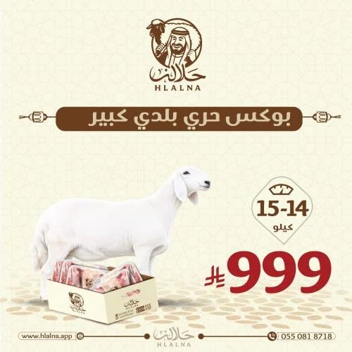 بوكس حري بلدي كبير