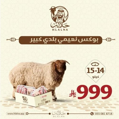 بوكس نعيمي بلدي كبير