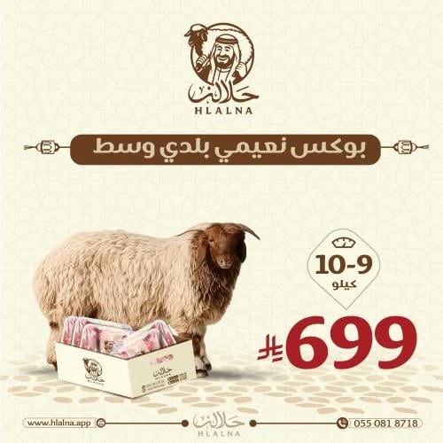 بوكس نعيمي بلدي وسط