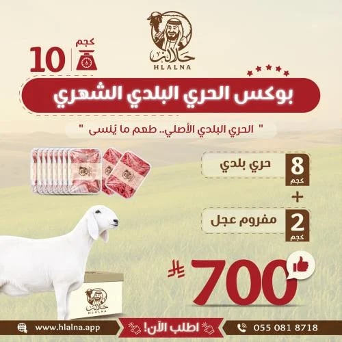 بوكس الحري البلدي الشهري