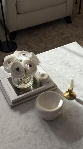 فازة البيونيا الأبيض ملمس طبيعي.