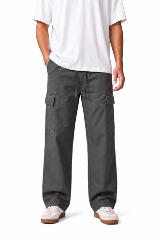 Pants Gray