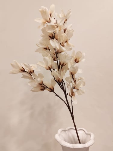 عرق زهور لون اوف وايت