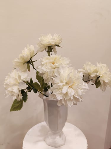 عرق زهور لون ابيض