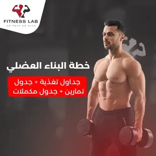 خطة البناء العضلي