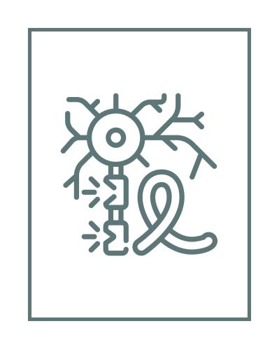 التوصيات الغذائية للتصلب اللويحي