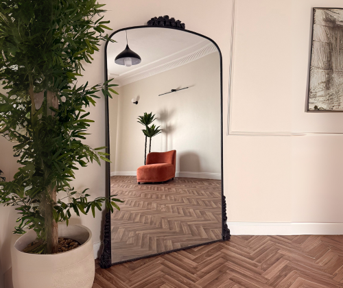 مرايا Rapunzel كلاسيك سوداء