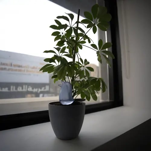 عصفور الري الذاتي