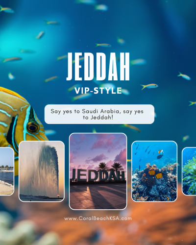 رحلة غوص VIP ( مدينة جدة)