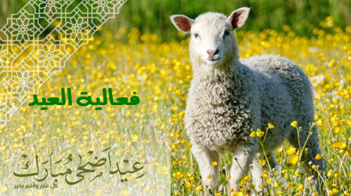 فعاليه عيد الاضحى