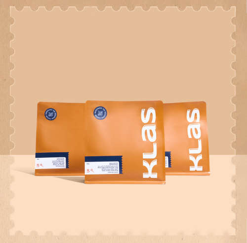 بوكس التأسيس