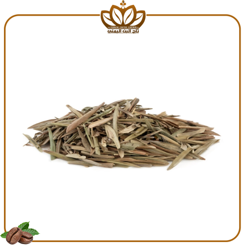 ورق الزيتون