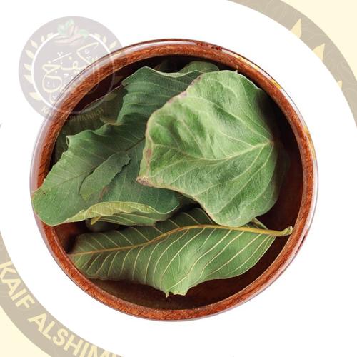 ورق الجوافة