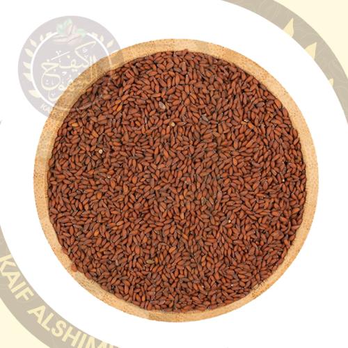 حب الرشاد هندي