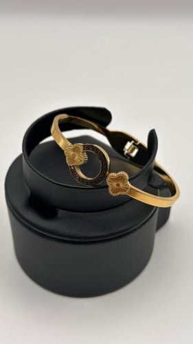 سواره فان كليف