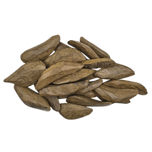 موروكي مناسبات