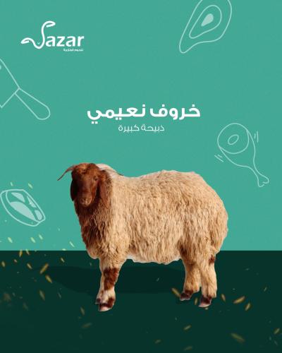 خروف نعيمي (كبير)