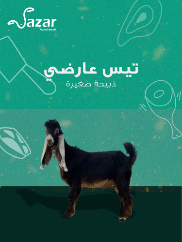ذبيحة تيس عارضي (صغيرة)