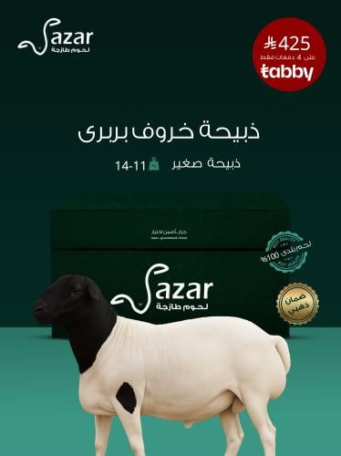 ذبيحة بربري (صغير)