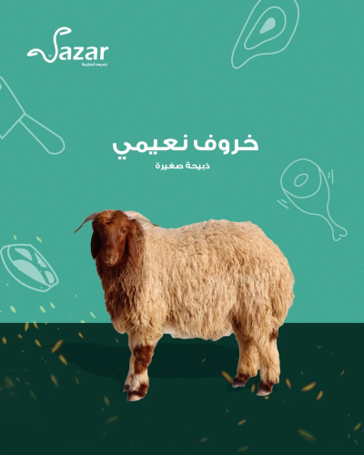 خروف نعيمي (صغير)