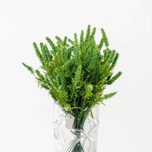Astilbe - استيلب صناعي