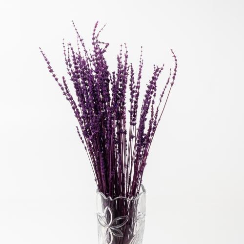 LAVANDER