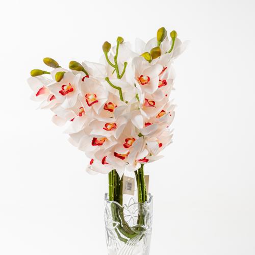 Cymbidium orchid - صناعي