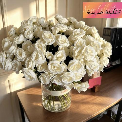 فازة كلاسيك ١٢١