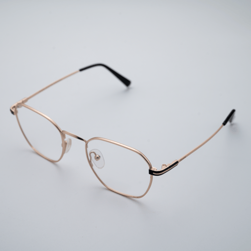 Paolo Rossi Gold Metal Eyeglasses