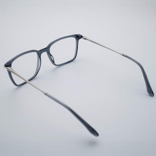Revox Transparent Gray Eyeglasses