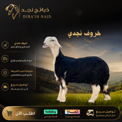 خروف نجدي