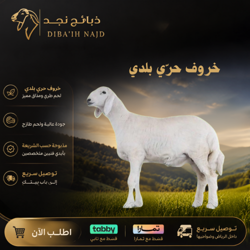 هرفي حري 4 شهور