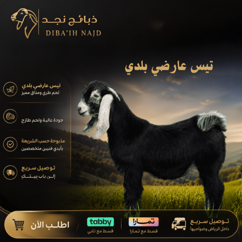 تيس عارضي
