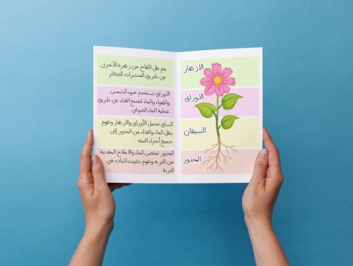مطوية النباتات واجزاؤها ثالث إبتدائي