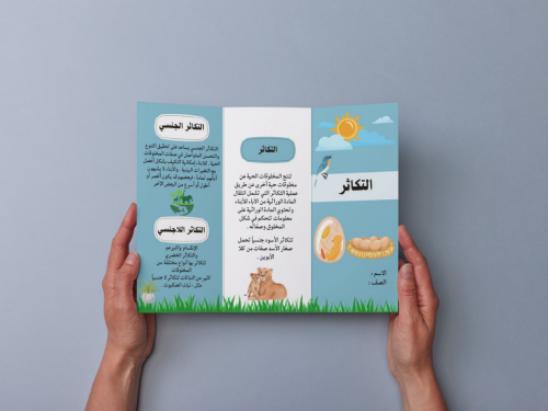 مطوية التكاثر خامس إبتدائي