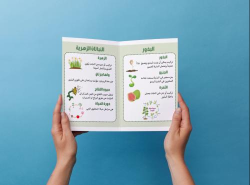 مطوية دورات حياة النباتات ثالث إبتدائي