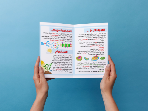 مطوية الخلية النباتية والخلية الحيوانية سادس إبتدا...