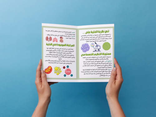 مطوية نظرية الخلية سادس إبتدائي