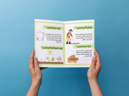 مطوية النباتات تنتج نباتات جديدة ثاني إبتدائي