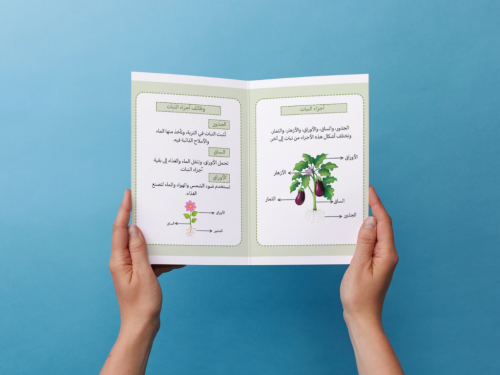 مطوية النباتات وأجزاؤها أول إبتدائي