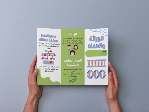 مطوية الوراثة والصفات سادس إبتدائي