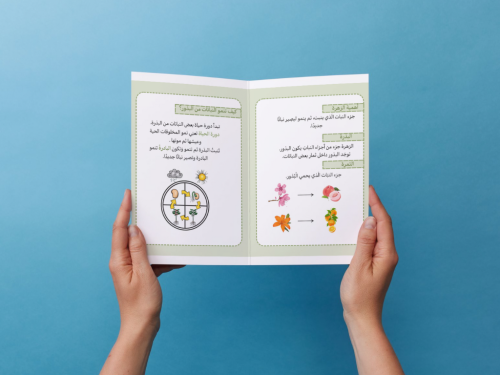 مطوية نمو النباتات أول إبتدائي