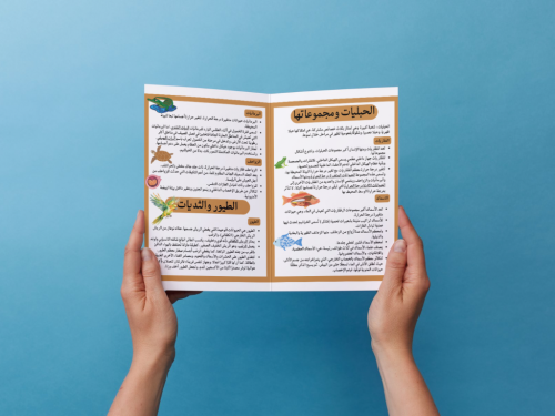 مطوية الحيوانات الفقارية اول متوسط