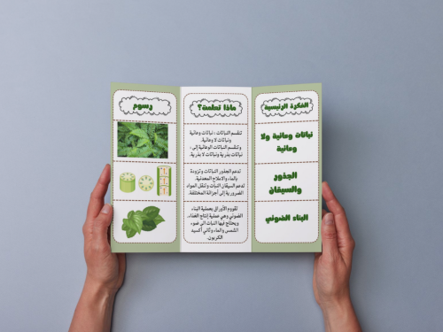 مطوية النباتات خامس إبتدائي