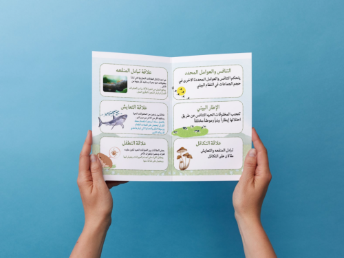 مطوية العلاقات في الأنظمة البيئية خامس إبتدائي