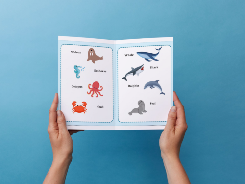 مطوية (Sea animals ) ثالث إبتدائي