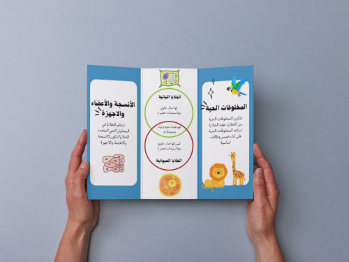 مطوية الخلايا رابع إبتدائي