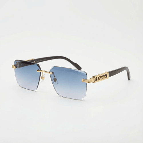 نظارة شمسية كارتير