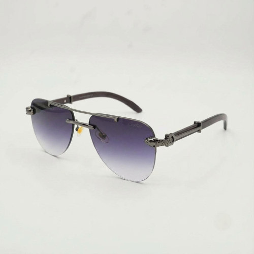 نظارة شمسية كارتير اسود عدسات شفافة